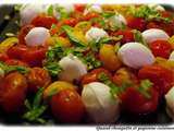 Salade de tomates grillees
