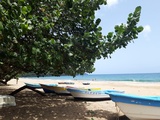 Album photo Playa El Valle - Samaná - La vie en République Dominicaine