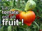 Tomate est un fruit