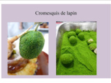 Cromesquis de lapin