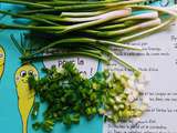 Comment préparer les oignons verts – cébettes