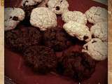 S cookies tout choco et vanille/raisin