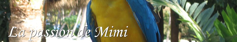Recettes de La passion de Mimi