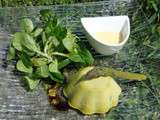 Flans d'asperges et sa sauce hollandaise - Les recettes de mimi