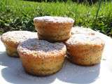 Muffins coco et Pavot - Les recettes de mimi