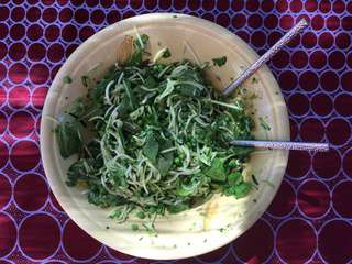 Salade de courgettes crues, petits pois, pousses d'épinards au citron confit