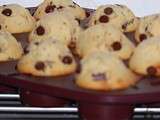 Muffins aux pepites de chocolat