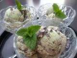 Glace menthe chocolat - thermomix