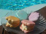 Macarons coquillage