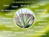 Aloe véra c'est ce qu'il vous faut