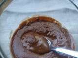 Crèmes végétales au praliné chocolat (recette thermomix)