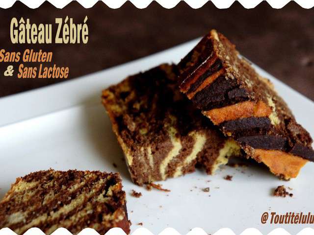 Les Meilleures Recettes De Zebre 2