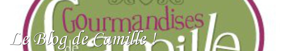 Recettes de Le Blog de Camille !