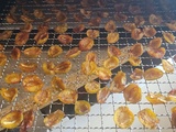 Mirabelles séchées au déshydrateur