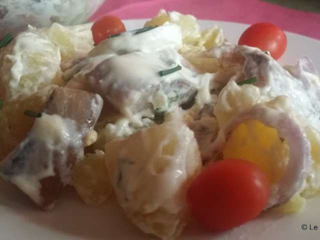 Recettes de Salade au hareng