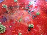 Sauce de tomates maison aux épicés et à l'origan sauvage