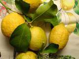 Citrons givrés