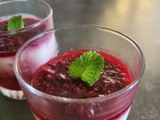 Panna cotta light aux framboises