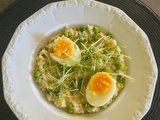 Risotto crémeux au parmesan et cresson alénois