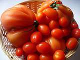Tomates confites au thym