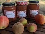 Confiture pêches de vignes et pommes