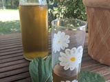 Eau parfumée aux feuilles de figuier