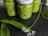 Pesto ail des ours