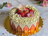 Fraisier à la Crème Diplomate et Biscuit Joconde
