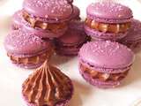 Macaron Chocolat Violette