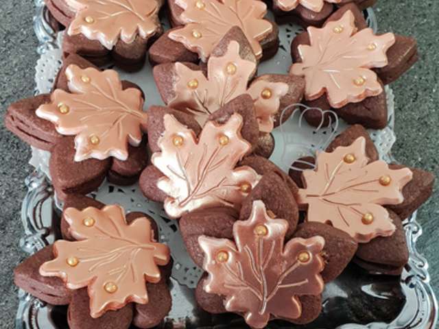 Recettes De Biscuit Sec