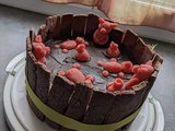Mare aux cochons pour les 1 ans de Lison