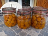 Mirabelles stérilisées au naturel