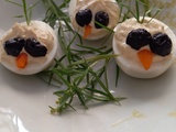 Petits oiseaux (avec des œufs)