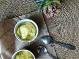 Glace à l'Ananas sans Lactose ni Sorbetière