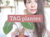 Tag plantes : cette plante que