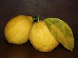 Moelleux au citron de Menton et graines de pavot