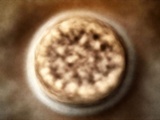 Damiers chocolat/vanille : recette facile et rapide pour un dessert délicieux et gourmand
