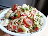 Salade d’orzo avec fromage bocconcini, pesto et légumes