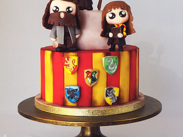 Harry Potter sur son gâteau Magique 🍰