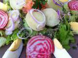 Salade de saumon-betterave chioggia