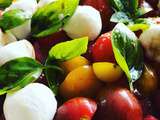 Salade fraîcheur tomates / mozzarella / pastèque