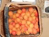 Confiture d'abricots au gingembre