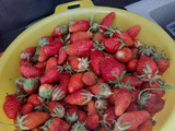 Sirop de fraises