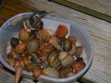 Limaces et escargots au jardin