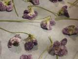 Fleur de violettes cristallisées