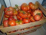 Tomates séchées