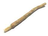 Présentation Miswak | Siwak : Usages, Histoire et Bienfaits