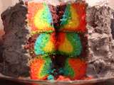 Rainbow cake : quand le loisir créatif s’invite dans la cuisine