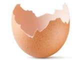 Recyclage : 7 façons inattendues d'utiliser vos coquilles d’œufs