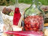 Fruits Rouges du Jardin... quelques bouteilles qui, l'hiver venu, réchaufferont les papilles et les coeurs